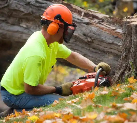 tree services Weddington